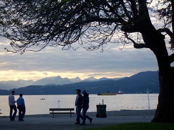 note: beach, snow-capped mountains, giant trees that eagles live in