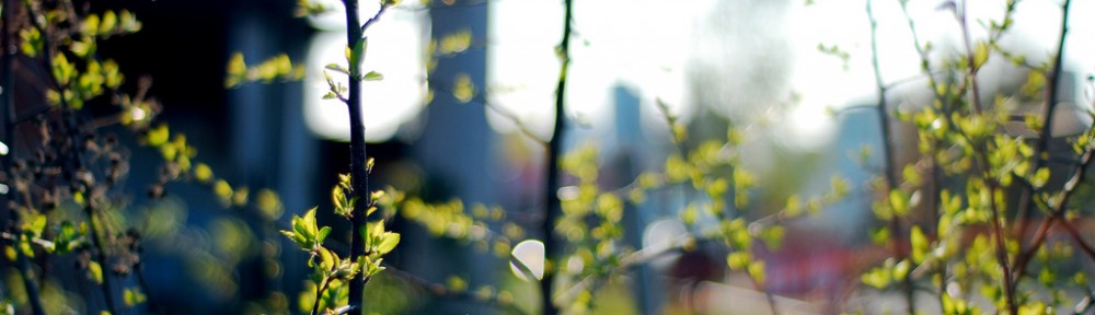 the love story project